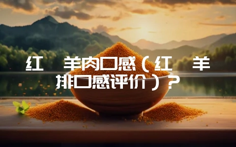 红焖羊肉口感（红焖羊排口感评价）？-会东网