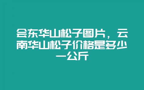会东华山松子图片，云南华山松子价格是多少一公斤-会东网