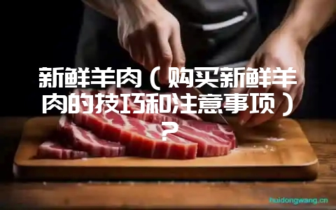 新鲜羊肉（购买新鲜羊肉的技巧和注意事项）？-会东网