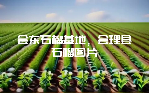 会东石榴基地,会理县石榴图片插图 会东石榴基地,会理县石榴图片插图