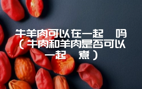 牛羊肉可以在一起炖吗（牛肉和羊肉是否可以一起炖煮）-会东网