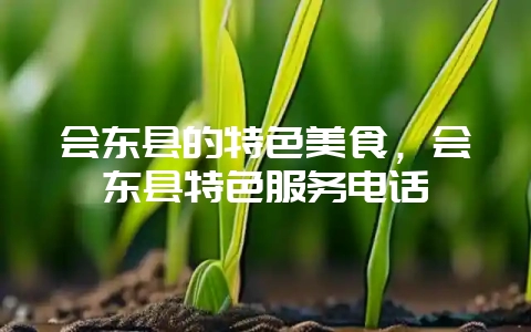 会东县的特色美食，会东县特色服务电话-会东网