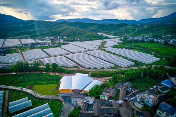 四川大凉山会东县?-会东网