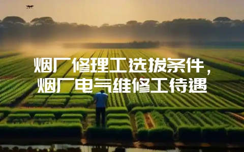 烟厂修理工选拔条件，烟厂电气维修工待遇-会东网