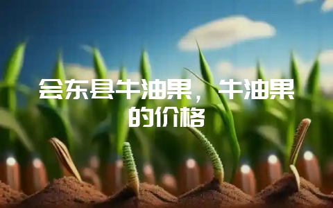 会东县牛油果，牛油果的价格-会东网