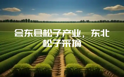 会东县松子产业，东北松子采摘-会东网