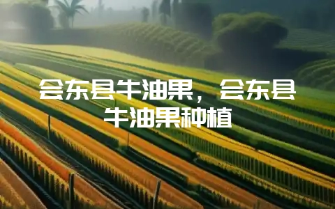 会东县牛油果，会东县牛油果种植-会东网