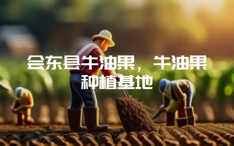 会东县牛油果,牛油果种植基地-会东网