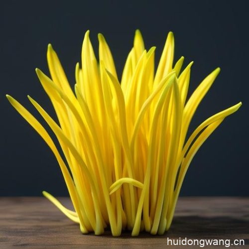 会东美食：羊肉炖什么好吃（适合搭配炖制的食材）？插图5