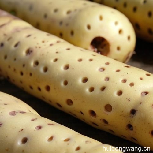 会东美食：羊肉炖什么好吃（适合搭配炖制的食材）？-会东网