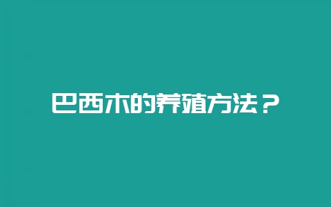 巴西木的养殖方法？-会东网