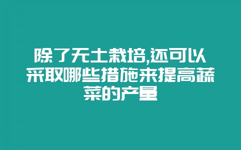 除了无土栽培,还可以采取哪些措施来提高蔬菜的产量-会东网