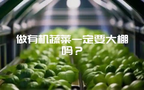 做有机蔬菜一定要大棚吗?插图 做有机蔬菜一定要大棚吗?插图