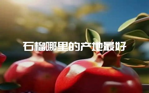 石榴哪里的产地最好-会东网