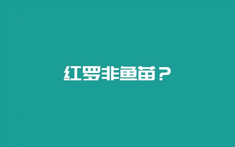 红罗非鱼苗？-会东网