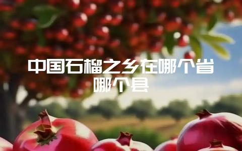 中国石榴之乡在哪个省哪个县-会东网
