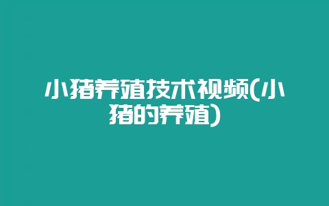 小猪养殖技术视频(小猪的养殖)-会东网