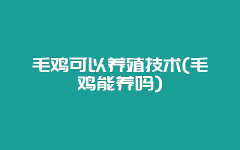 毛鸡可以养殖技术(毛鸡能养吗)-会东网