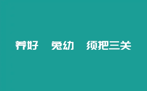 养好獭兔幼崽须把三关-会东网