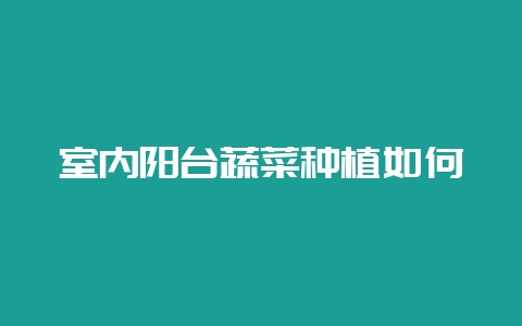 室内阳台蔬菜种植如何-会东网