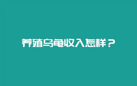 养殖乌龟收入怎样？-会东网