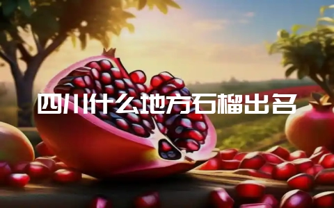 四川什么地方石榴出名-会东网