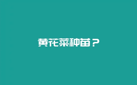 黄花菜种苗？-会东网