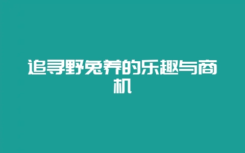 追寻野兔养的乐趣与商机-会东网