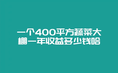 一个400平方蔬菜大棚一年收益多少钱哈-会东网