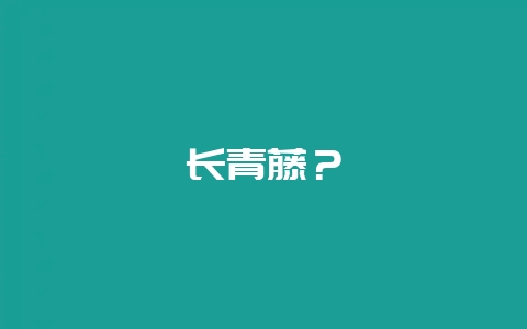 长青藤？-会东网