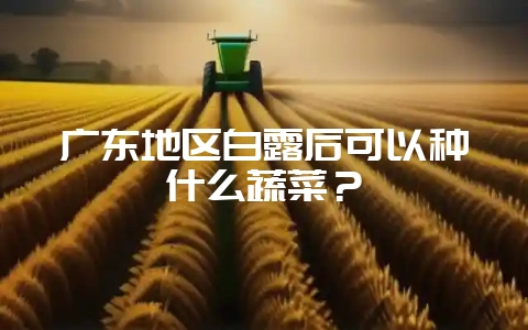 广东地区白露后可以种什么蔬菜？-会东网