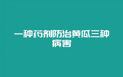 一种药剂防治黄瓜三种病害-会东网