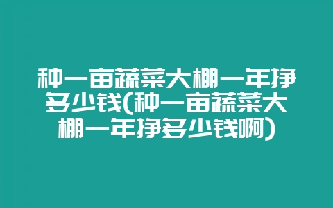 种一亩蔬菜大棚一年挣多少钱(种一亩蔬菜大棚一年挣多少钱啊)-会东网