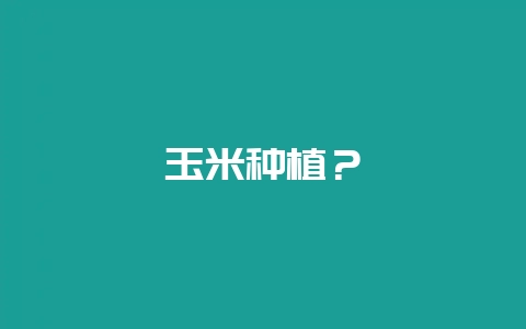 玉米种植？-会东网