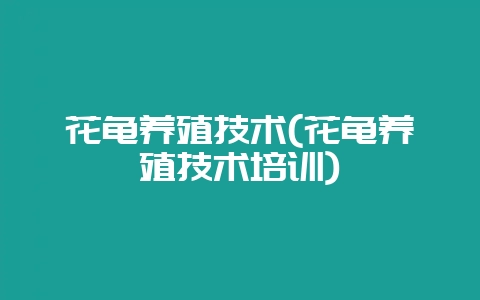 花龟养殖技术(花龟养殖技术培训)-会东网