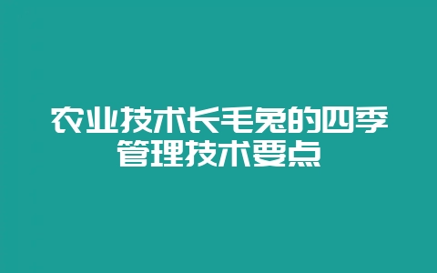 农业技术长毛兔的四季管理技术要点-会东网