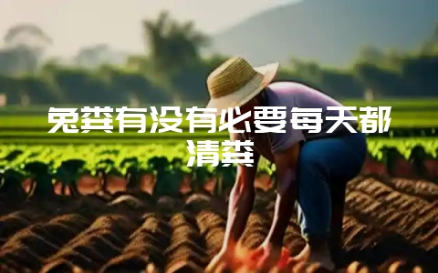 兔粪有没有必要每天都清粪插图 兔粪有没有必要每天都清粪插图