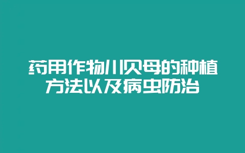 药用作物川贝母的种植方法以及病虫防治-会东网