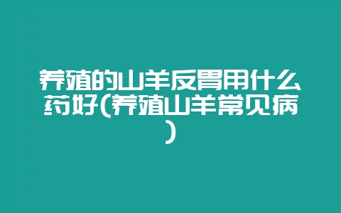 养殖的山羊反胃用什么药好(养殖山羊常见病)-会东网