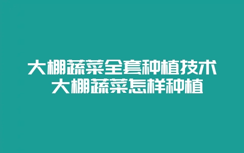 大棚蔬菜全套种植技术 大棚蔬菜怎样种植-会东网
