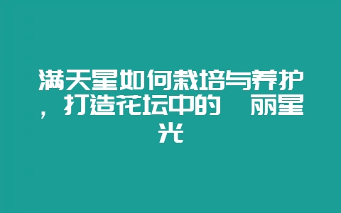 满天星如何栽培与养护，打造花坛中的绚丽星光-会东网