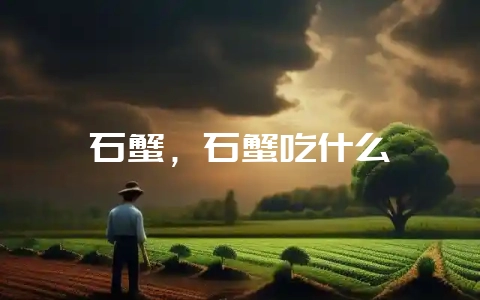 石蟹，石蟹吃什么-会东网