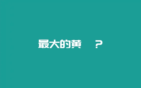 最大的黄鳝?插图 最大的黄鳝?插图
