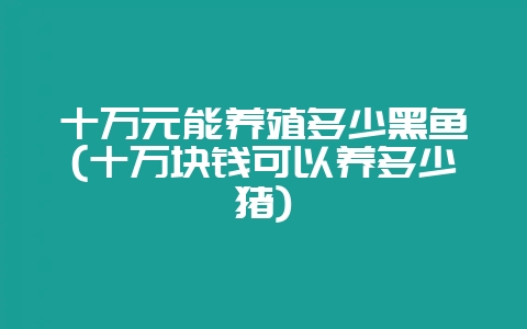 十万元能养殖多少黑鱼(十万块钱可以养多少猪)-会东网