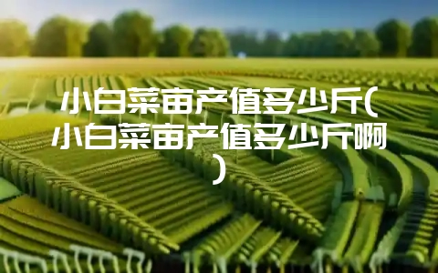 小白菜亩产值多少斤(小白菜亩产值多少斤啊)-会东网