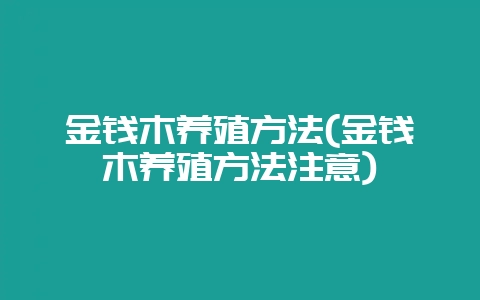 金钱木养殖方法(金钱木养殖方法注意)-会东网