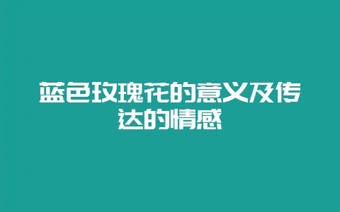 蓝色玫瑰花的意义及传达的情感插图 蓝色玫瑰花的意义及传达的情感插图