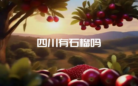 四川有石榴吗-会东网