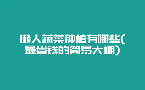 懒人蔬菜种植有哪些(最省钱的简易大棚)-会东网