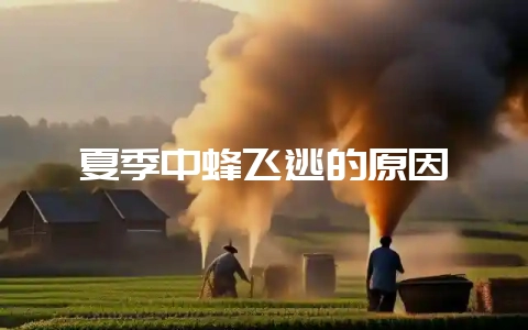 夏季中蜂飞逃的原因-会东网